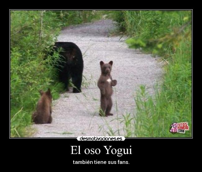 El oso Yogui - también tiene sus fans.