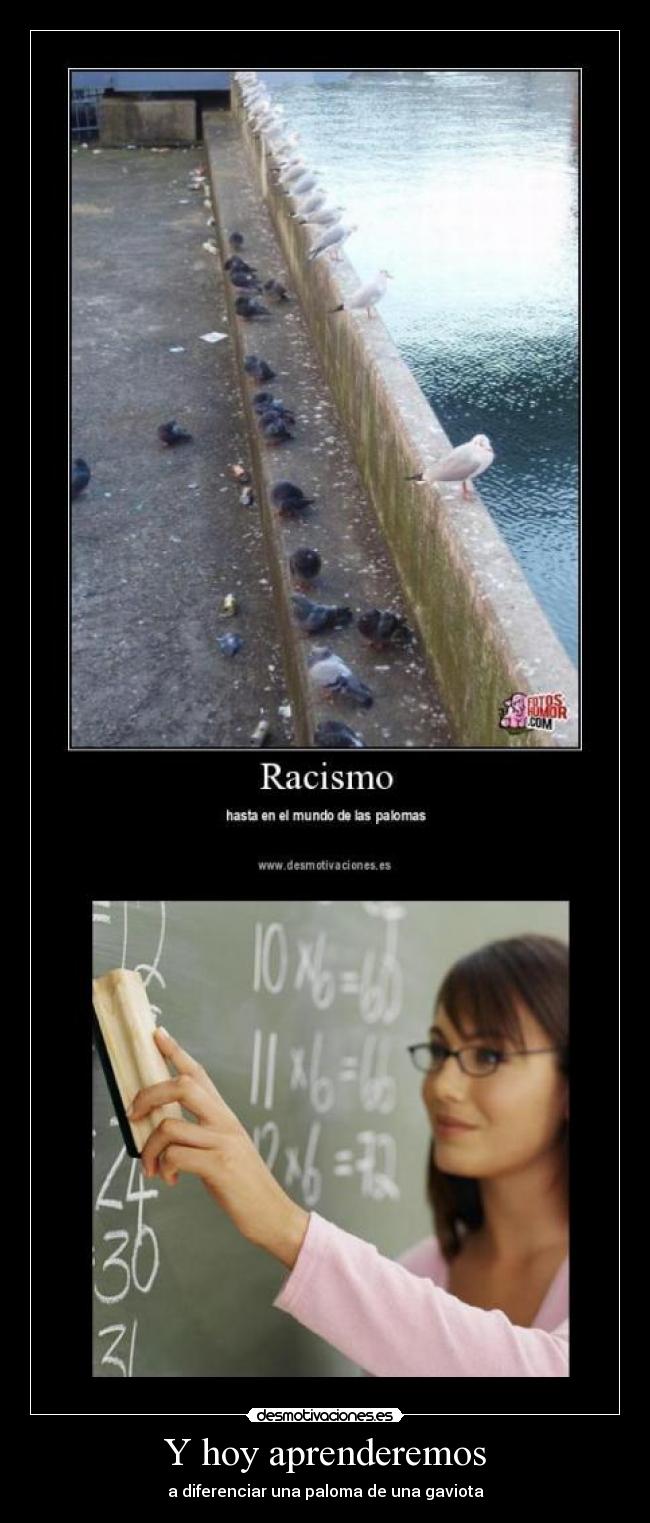 Y hoy aprenderemos -