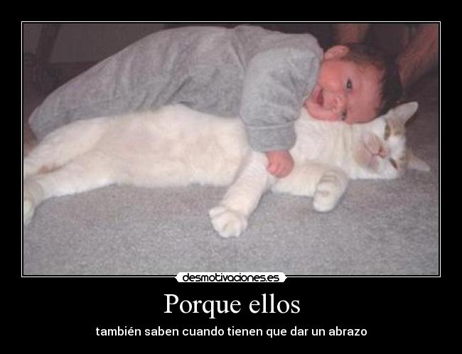 Porque ellos - también saben cuando tienen que dar un abrazo