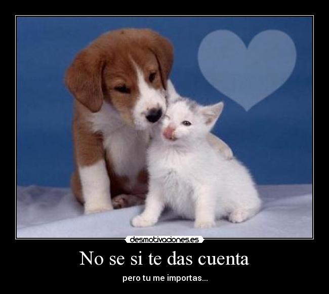 No se si te das cuenta -
