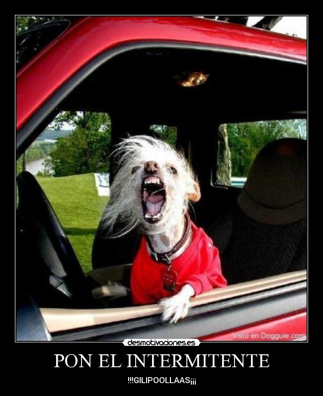 PON EL INTERMITENTE -