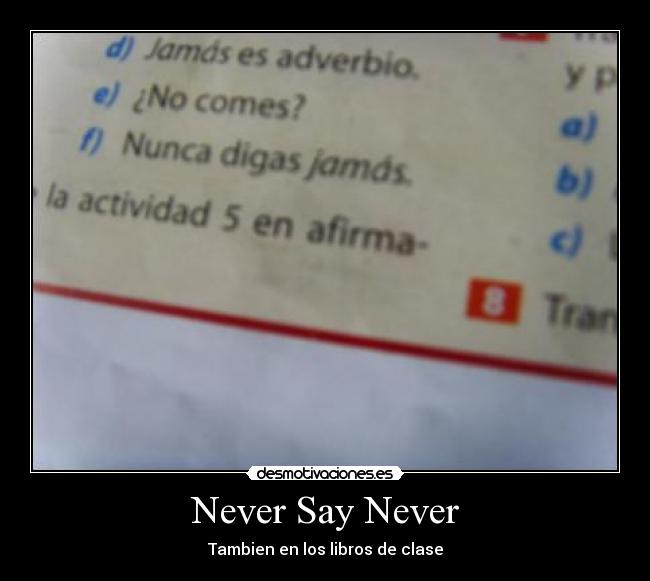 Never Say Never -