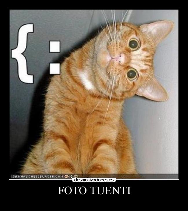 FOTO TUENTI -