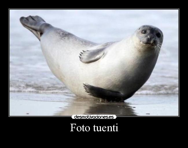 Foto tuenti - 
