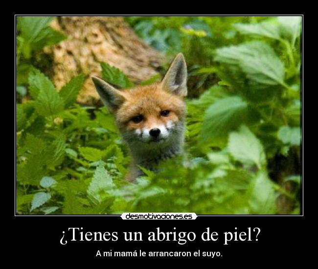 ¿Tienes un abrigo de piel? -