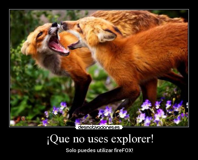carteles que uses explorer desmotivaciones