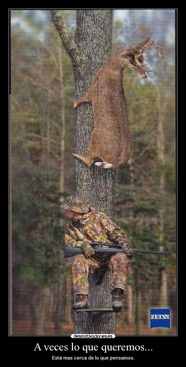 A veces lo que queremos... - 