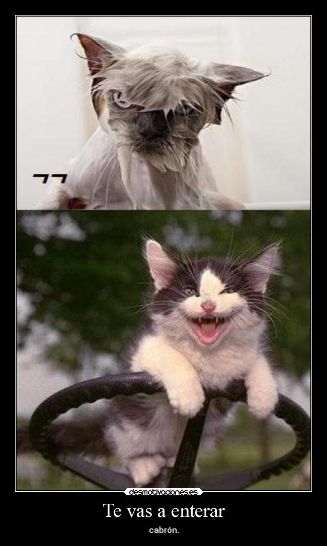 Te vas a enterar -
