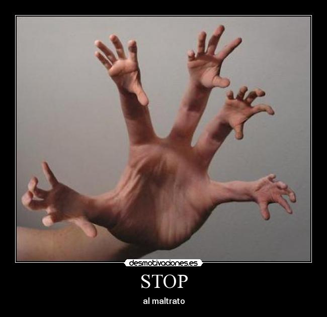 STOP - al maltrato
