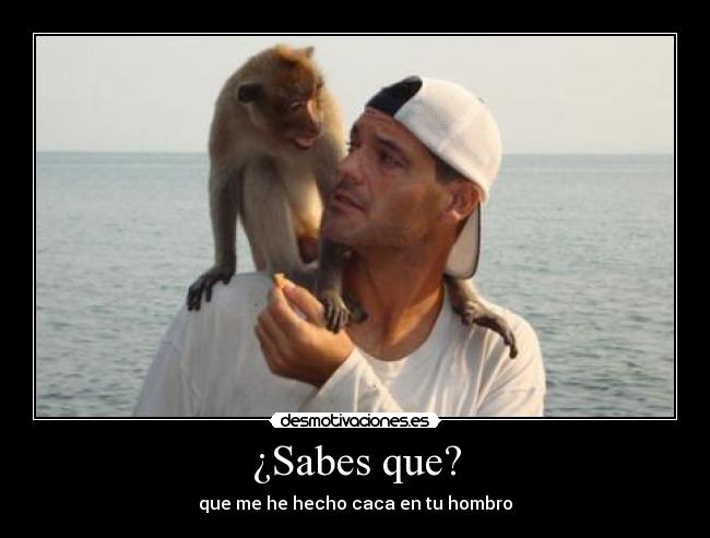 ¿Sabes que? - que me he hecho caca en tu hombro