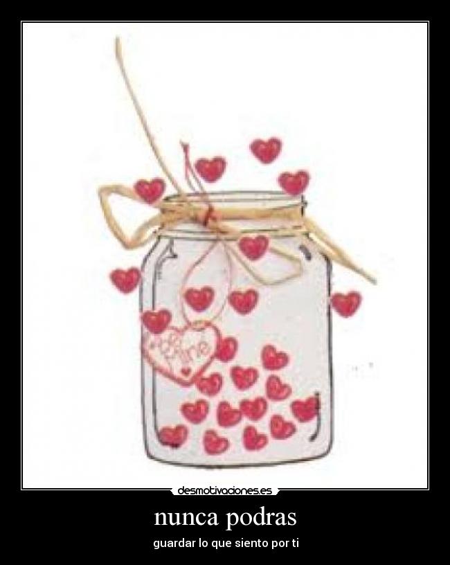 nunca podras -