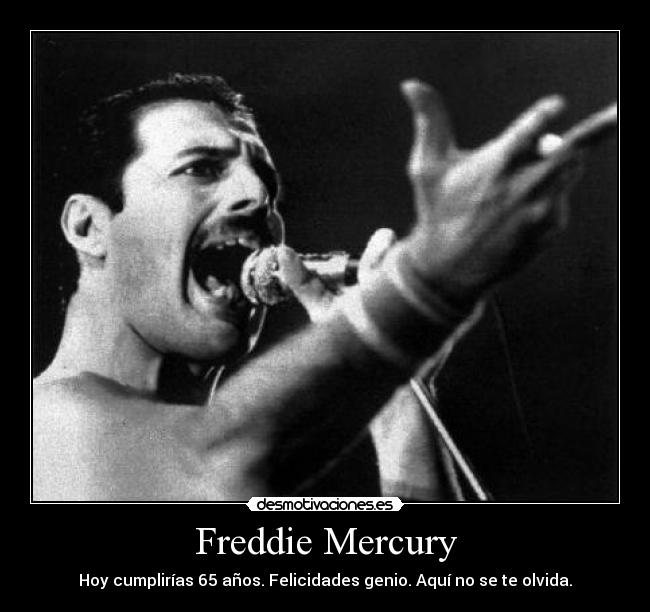 Freddie Mercury - 