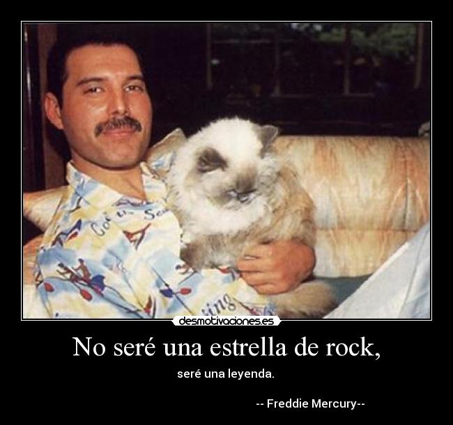 No seré una estrella de rock, - 