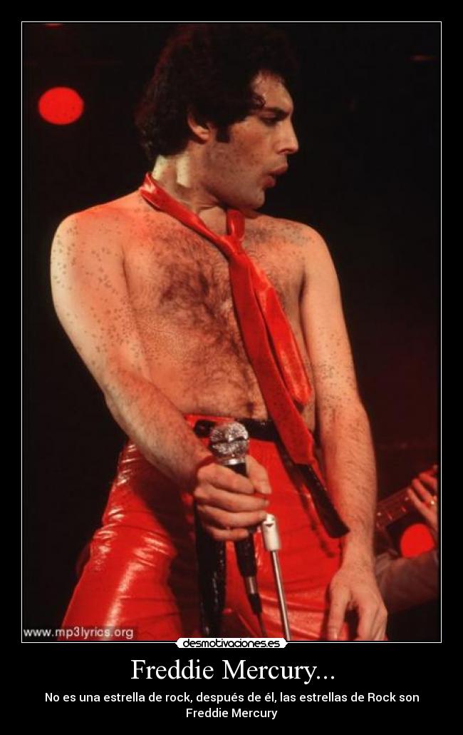 Freddie Mercury... - No es una estrella de rock, después de él, las estrellas de Rock son Freddie Mercury
