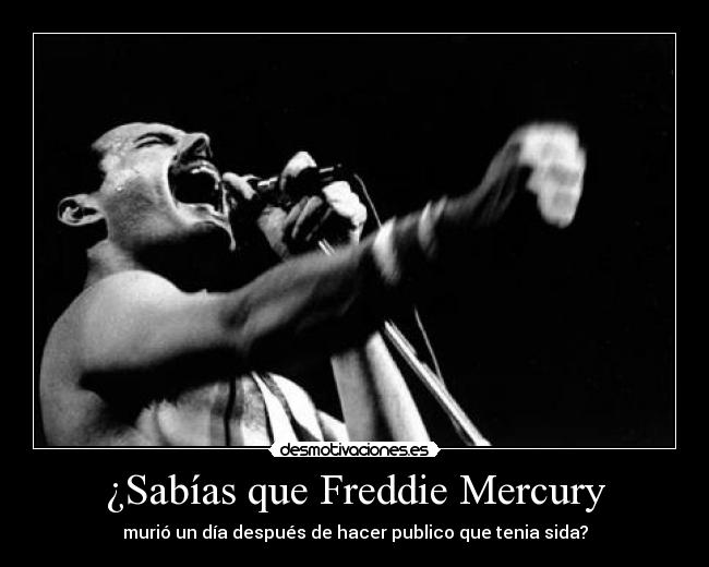 ¿Sabías que Freddie Mercury - 