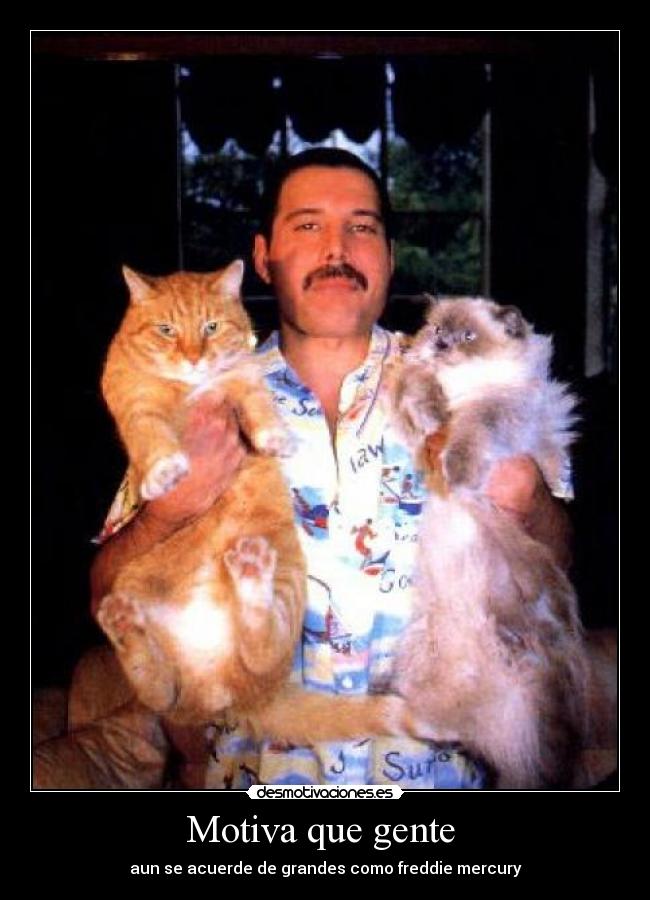 Motiva que gente - aun se acuerde de grandes como freddie mercury