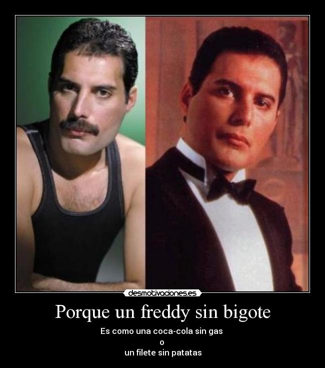 Porque un freddy sin bigote - Es como una coca-cola sin gas
o
un filete sin patatas