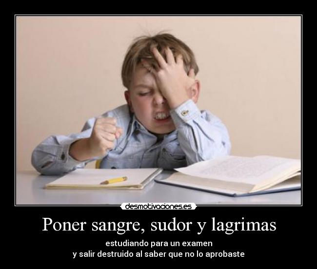 Poner sangre, sudor y lagrimas - estudiando para un examen
y salir destruido al saber que no lo aprobaste
