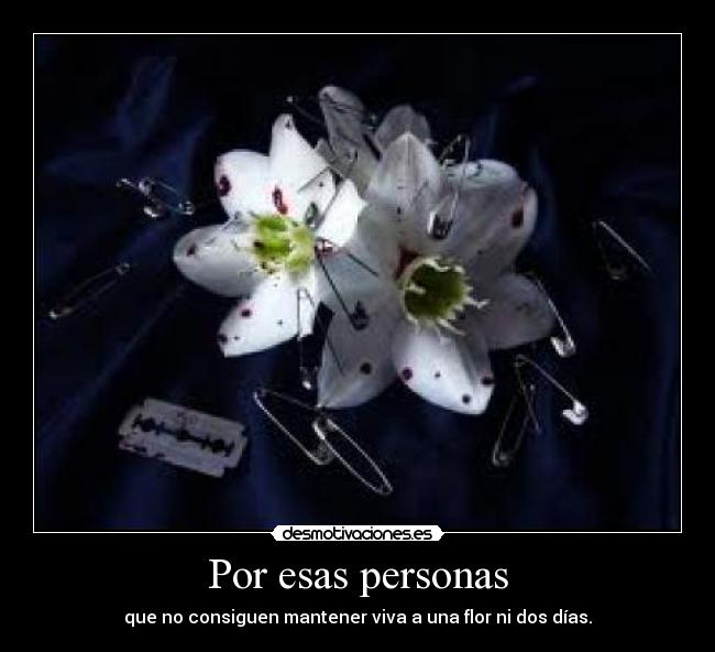 Por esas personas - 