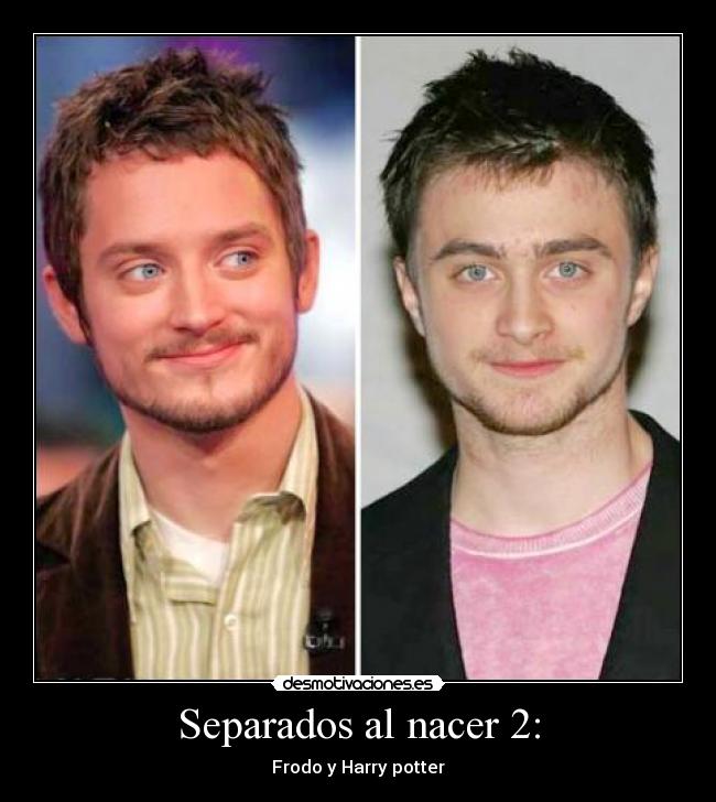 Separados al nacer 2: - Frodo y Harry potter