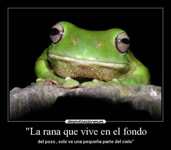 La rana que vive en el fondo - del pozo , solo ve una pequeña parte del cielo