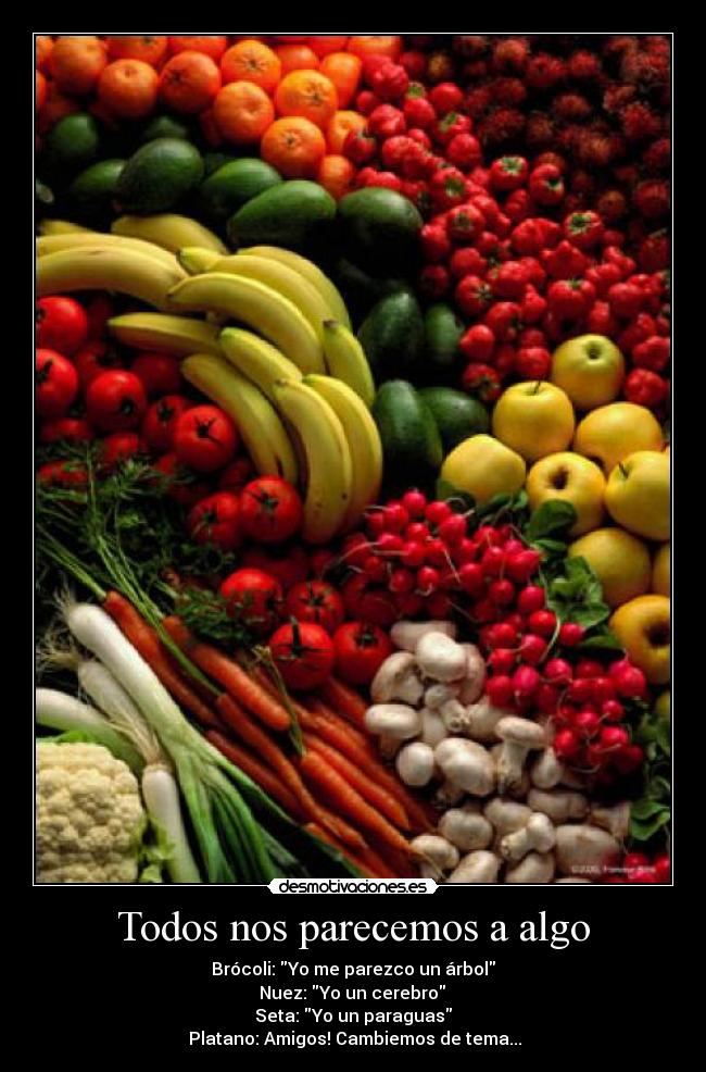 Todos nos parecemos a algo - 