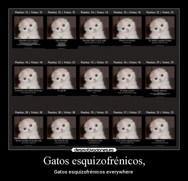 Gatos esquizofrénicos, - Gatos esquizofrénicos everywhere 