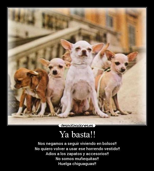 Ya basta!! -