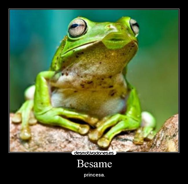 Besame - princesa.