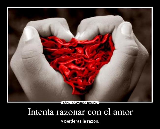 Intenta razonar con el amor -