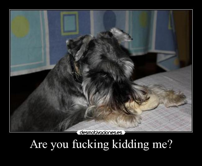 Are you fucking kidding me? -