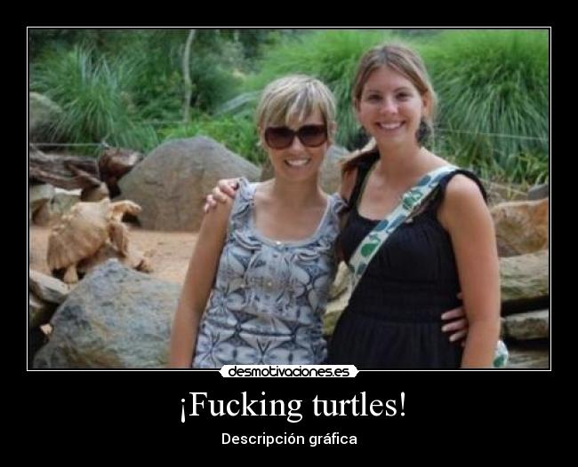 ¡Fucking turtles! - Descripción gráfica