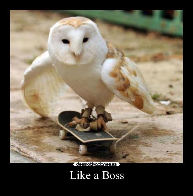 Like a Boss -