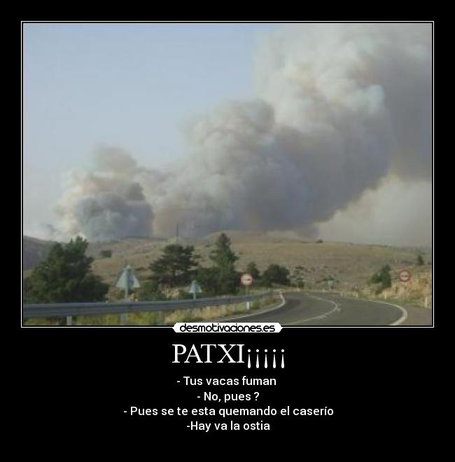 carteles patxi sus vacas desmotivaciones