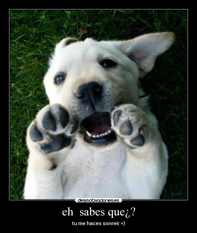 eh sabes que¿? -