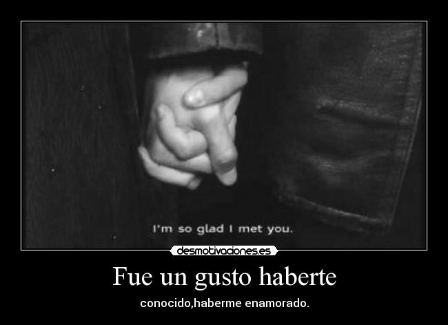 Fue un gusto haberte - conocido,haberme enamorado.