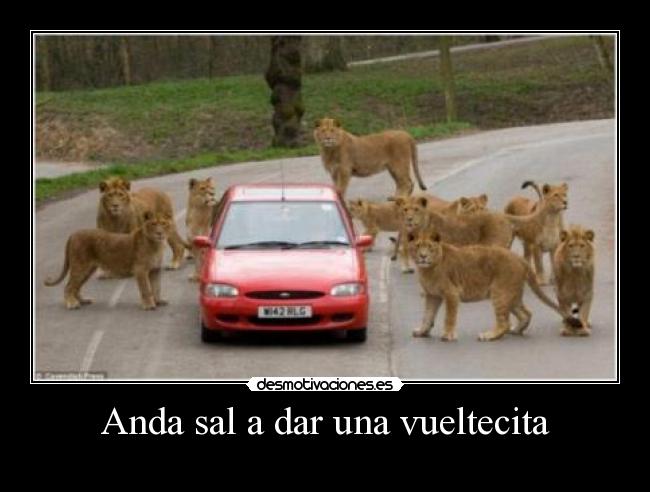 Anda sal a dar una vueltecita - 