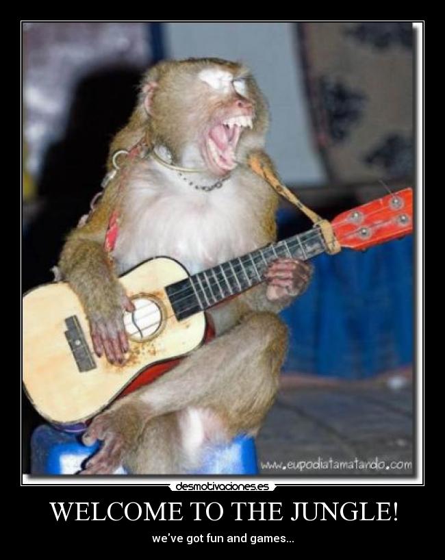 WELCOME TO THE JUNGLE! - 