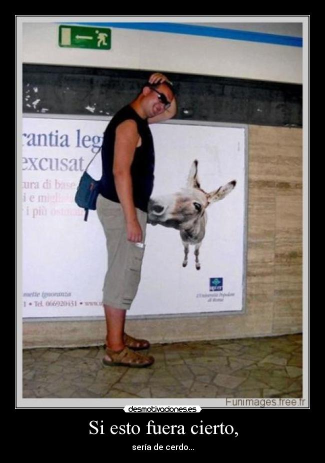 Si esto fuera cierto, - sería de cerdo...