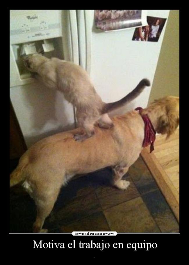 carteles trabajo trabajo equipo desmotivaciones