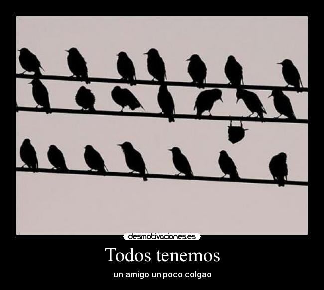 Todos tenemos - un amigo un poco colgao