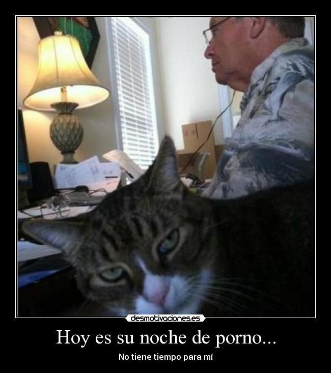 Hoy es su noche de porno... - No tiene tiempo para mí