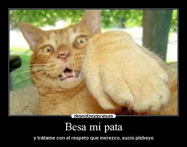 Besa mi pata - y trátame con el respeto que merezco, sucio plebeyo