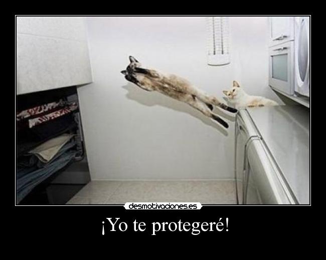 ¡Yo te protegeré! - 