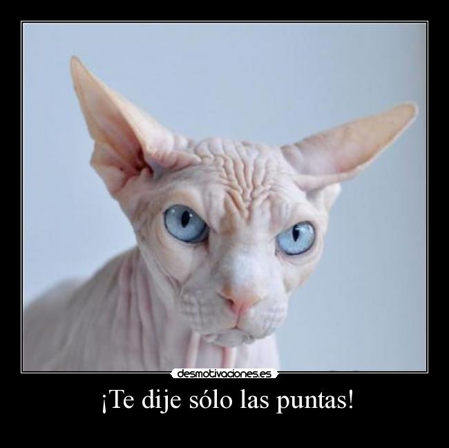 ¡Te dije sólo las puntas! - 