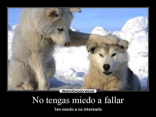 No tengas miedo a fallar - Ten miedo a no intentarlo