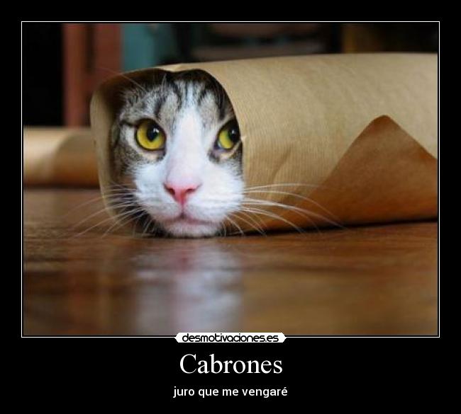 Cabrones - 