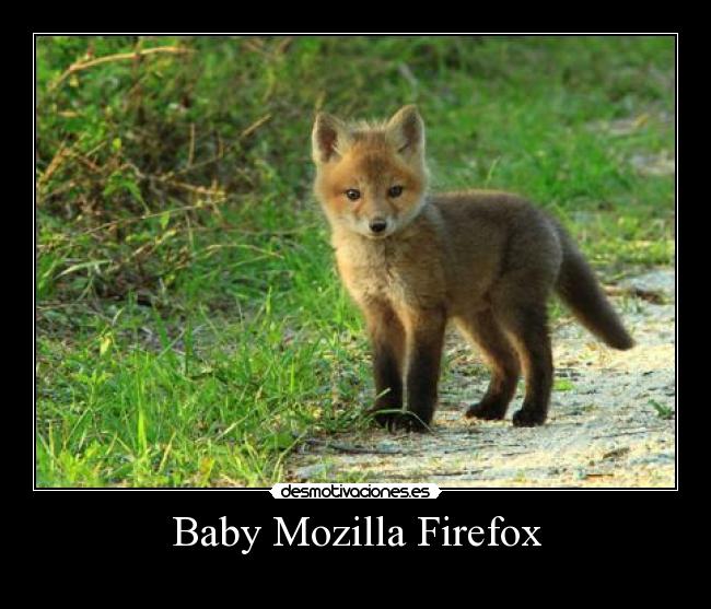 Baby Mozilla Firefox -