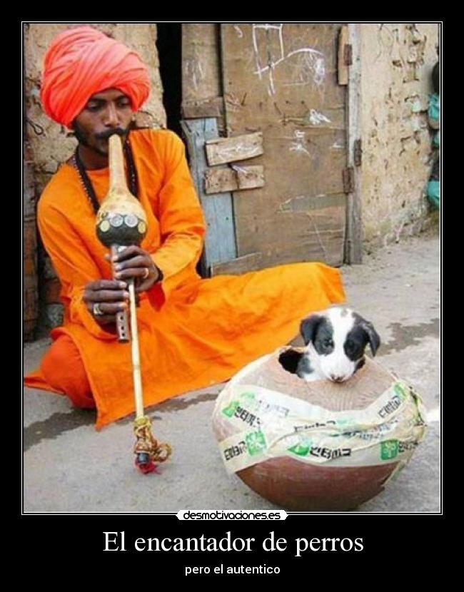 carteles  desmotivaciones