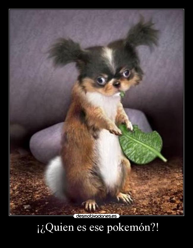 ¡¿Quien es ese pokemón?! -